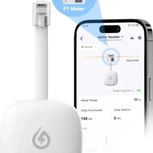 Indevolt p1 meter met app